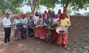 तेजस्वी वर्मा की हरित मुहिम: 2014 से गांव–गांव तक जल और पर्यावरण संरक्षण की मिसाल