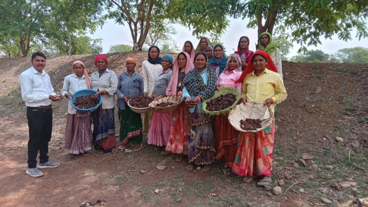 तेजस्वी वर्मा की हरित मुहिम: 2014 से गांव–गांव तक जल और पर्यावरण संरक्षण की मिसाल