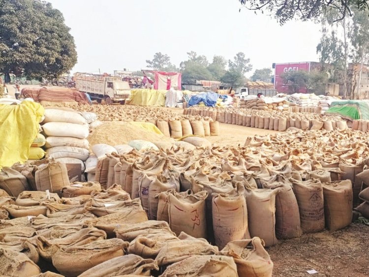धान खरीदी में एक केंद्र पर कार्रवाई, बाकी पर मेहरबानी, अधिकारियों की भूमिका पर उठे गंभीर सवाल