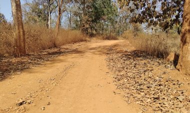 2 साल में पूरी नहीं हो सकी पीएम जन मन की सड़क, गिट्टी काम और मिट्टी ज्यादा 4.85 करोड़ की सड़क की गुणवत्ता पर सवाल