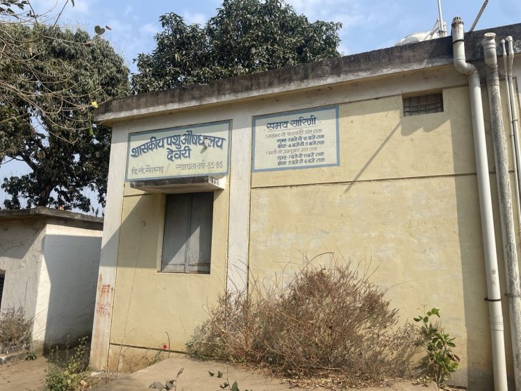 पशु चिकित्सा विभाग में ‘संलग्नीकरण’ का खेल: अस्पतालों में ताले, पशुपालक निजी डॉक्टरों के भरोसे