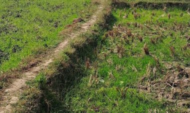 चारभाठा में नहर तोड़ने की शिकायत, कलेक्टर से पुनर्निर्माण व कार्रवाई की मांग