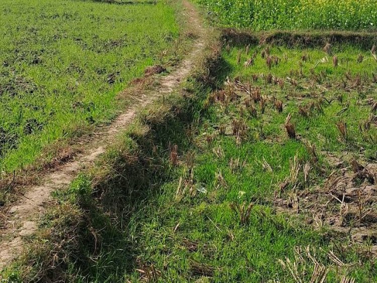 चारभाठा में नहर तोड़ने की शिकायत, कलेक्टर से पुनर्निर्माण व कार्रवाई की मांग
