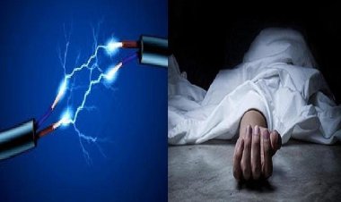 11 केवी लाइन की चपेट में आया युवक, पेड़ छंटाई के दौरान दर्दनाक मौत; सुरक्षा इंतजामों पर उठे सवाल