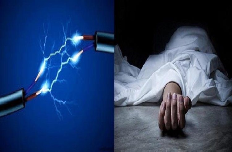 11 केवी लाइन की चपेट में आया युवक, पेड़ छंटाई के दौरान दर्दनाक मौत; सुरक्षा इंतजामों पर उठे सवाल