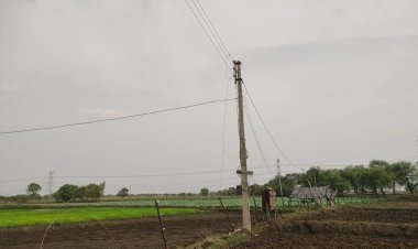 दो महीने से टूटा था बिजली का तार, शिकायतें अनसुनी रहीं; मौत हुई तो दौड़ा विभाग
