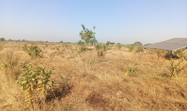4 साल से राजनांदगांव में अटका भुगतान, बार-बार पत्राचार के बाद भी नहीं जारी हुई राशि; केसीजी की पंचायतें बेहाल