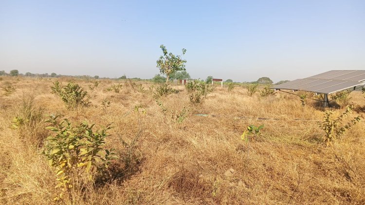 4 साल से राजनांदगांव में अटका भुगतान, बार-बार पत्राचार के बाद भी नहीं जारी हुई राशि; केसीजी की पंचायतें बेहाल