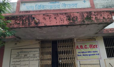 केसीजी में पशु विभाग स्टाफ विहीन: उपसंचालक कार्यालय में 11 पद, काम सिर्फ दो कर्मचारियों के भरोसे
