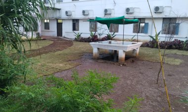 जिस गार्डनिंग को PWD ने अपना काम बताया, कलेक्टर कार्यालय बोला- यह तो जनसहयोग से हो रहा है!