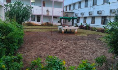 10.75 लाख की गार्डनिंग, मौके पर दिखे कुछ पौधे; विभाग बोला- कलेक्ट्रेट, रेस्ट हाउस और सिविल लाइन के भवनों में हुआ काम