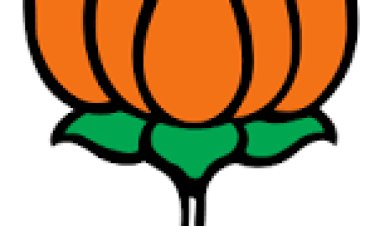 छुईखदान जनपद में भाजपा की मुश्किलें बढ़ीं, अपने ही सदस्यों की बगावत से घिरी सत्ता